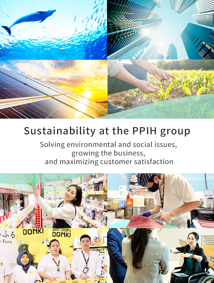 Sustainability at the PPIH group