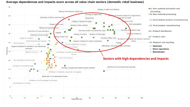 Average dependences and impacts score across all value chain sectors (domestic retail business)